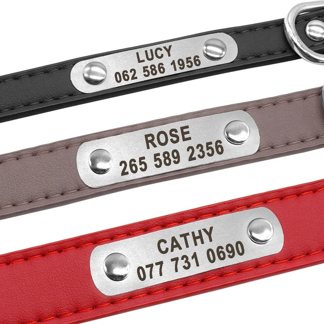 Personalized Durable Collar