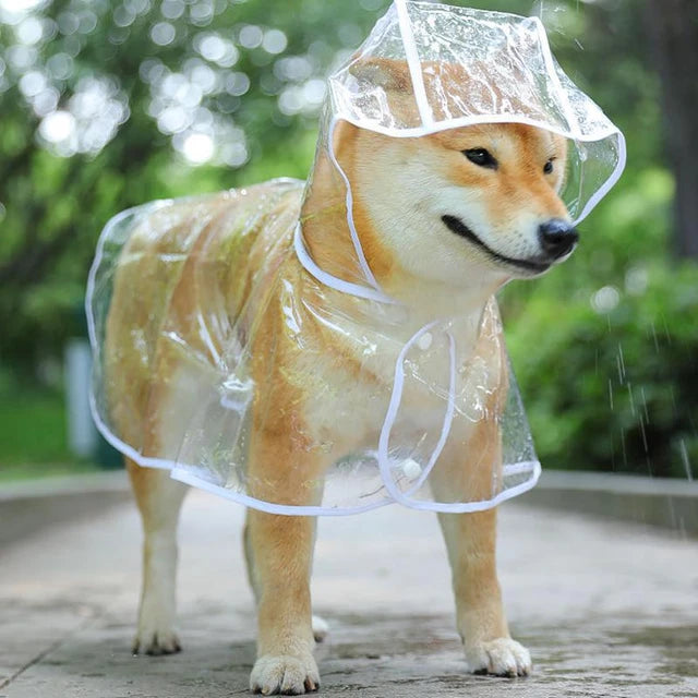 Pet Transparent Rainwear