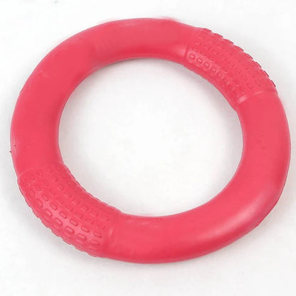 Flying Disk Training Ring